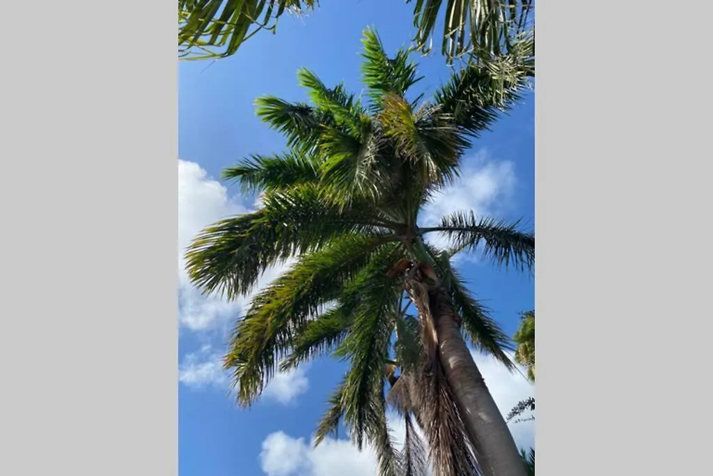 Kas Kalki Apartment Willemstad Curacao